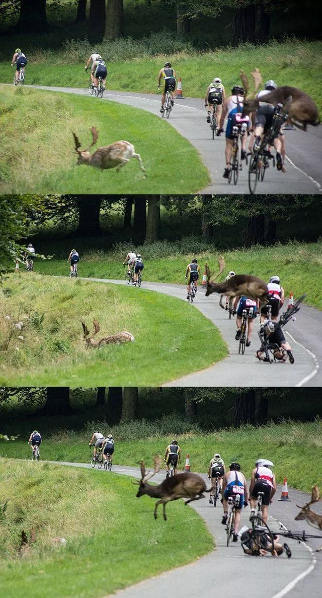 Picdump 140 - #99 