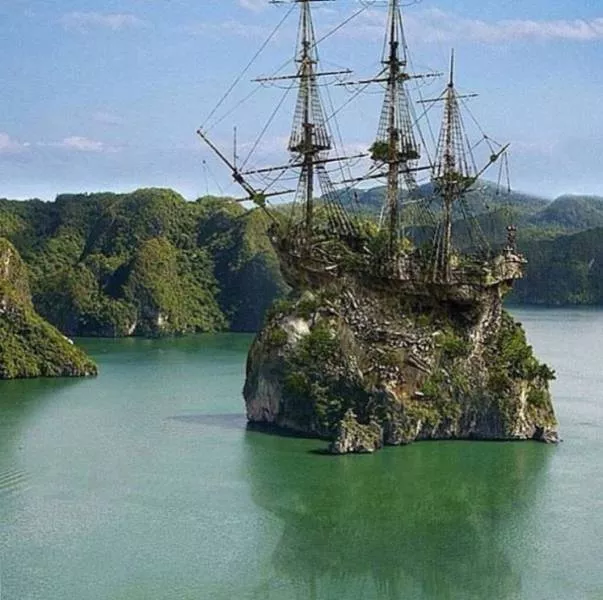 A terribly bizarre photo compilation - #13 