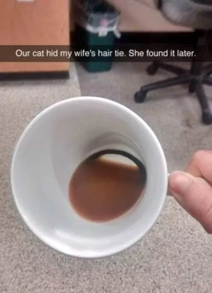 A terribly bizarre photo compilation - #18 