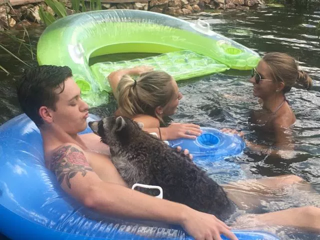A terribly bizarre photo compilation - #30 