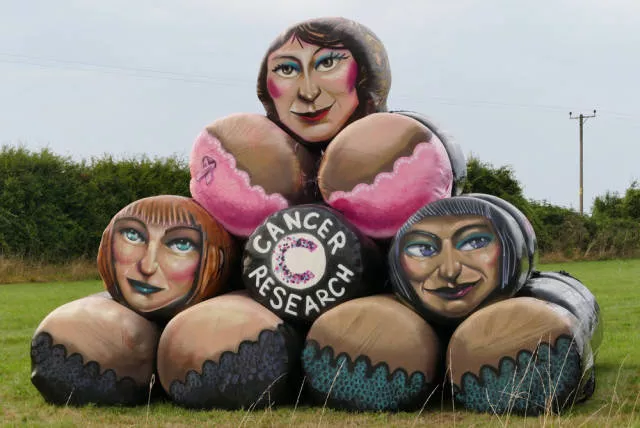 A terribly bizarre photo compilation - #35 