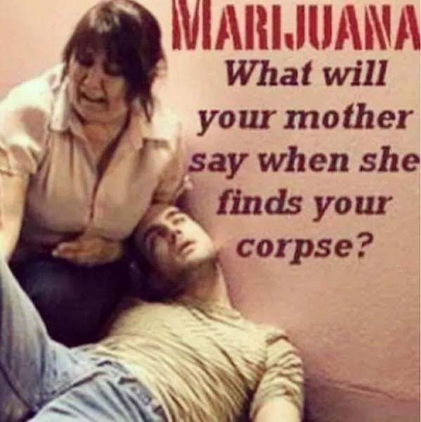 A terribly bizarre photo compilation - #6 