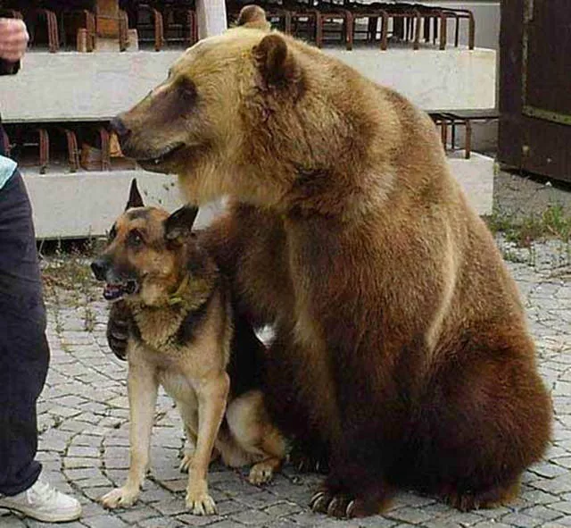 Picdump 141 - #37 