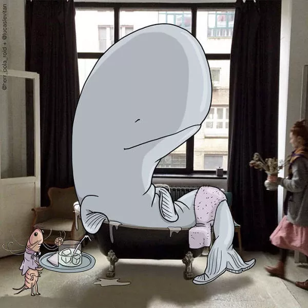 Funny illustrations youve never seen - #19 Funny illustrations youve never seen - #19