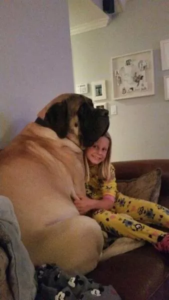 Picdump 142 - #11 