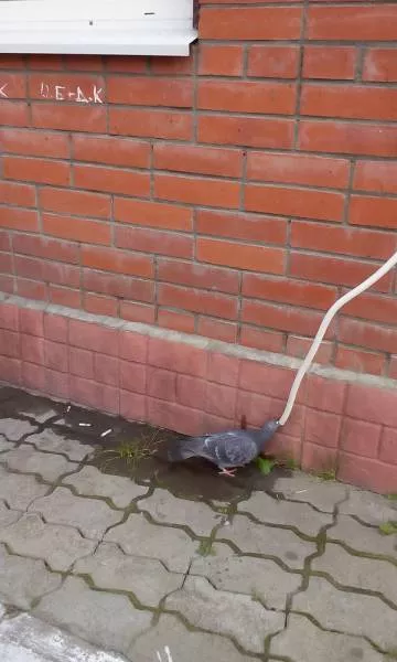 Picdump 142 - #12 