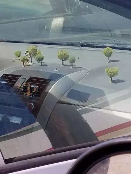 Picdump 142 - #48 