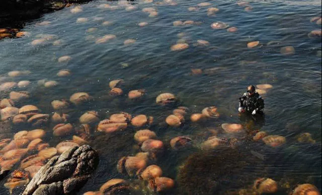 Scary pictures that give you goosebumps - #21 