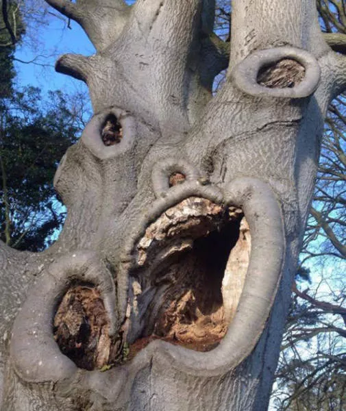Scary pictures that give you goosebumps - #22 