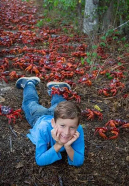 Scary pictures that give you goosebumps - #29 