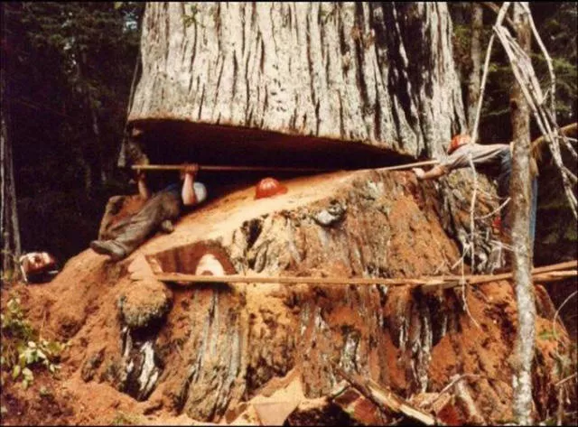 Scary pictures that give you goosebumps