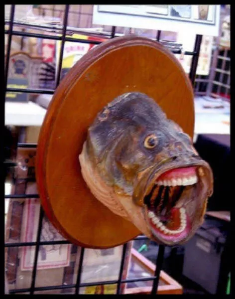 Scary pictures that give you goosebumps - #38 