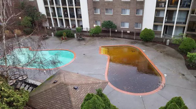 Scary pictures that give you goosebumps - #44 