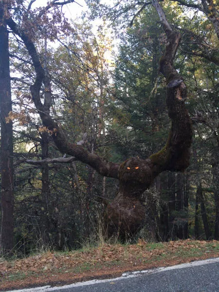 Scary pictures that give you goosebumps - #7 