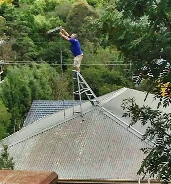 Safety first please - #18 