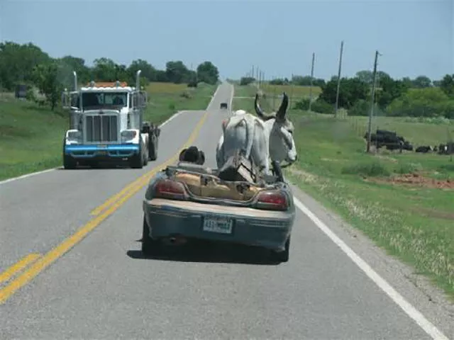 Picdump 143 - #17 