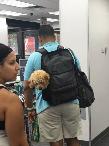 Picdump 143 - #22 