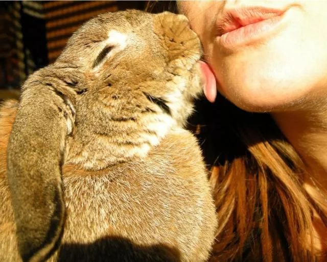 Picdump 143