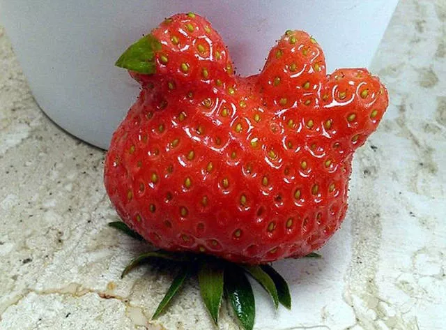 Picdump 143 - #46 