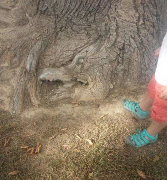 Look twice before understanding these photos - #16 