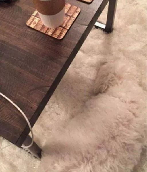 Look twice before understanding these photos - #22 