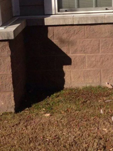 Look twice before understanding these photos - #24 