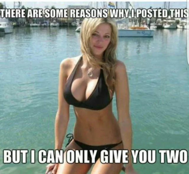 Picdump 145 - #10 