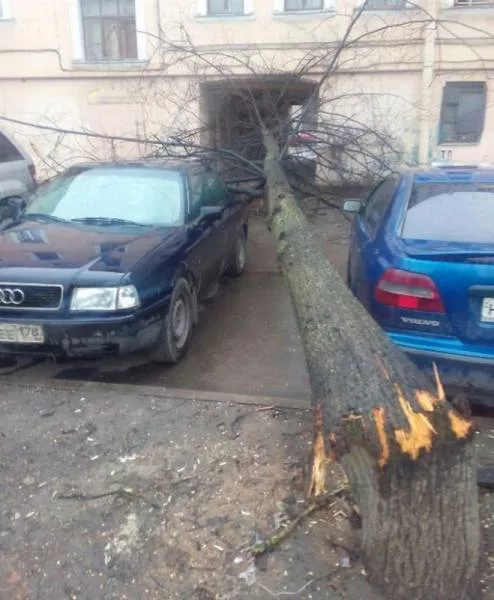 Picdump 4 - #25 