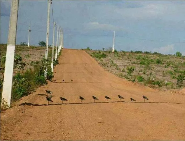 Picdump 4 - #49 