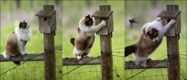 Picdump 4 - #53 