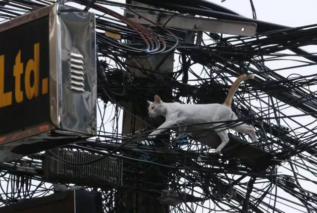 Picdump 4 - #59 