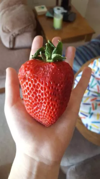 Picdump 4 - #9 