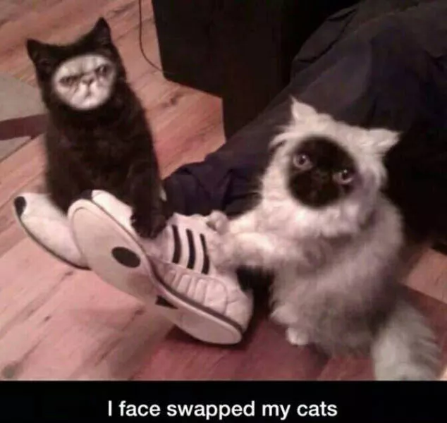 Picdump 31 - #4 
