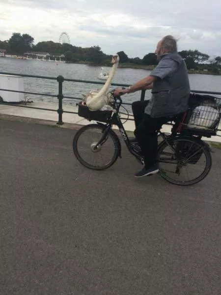 Picdump 146 - #2 