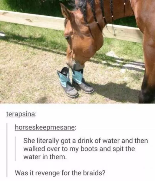 Picdump 147 - #12 