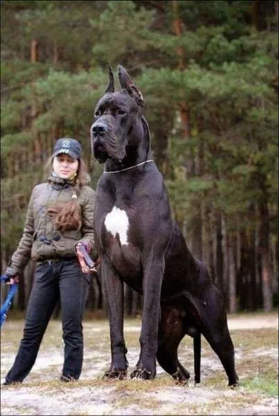 Picdump 147 - #16 