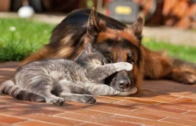 Picdump 147 - #18 