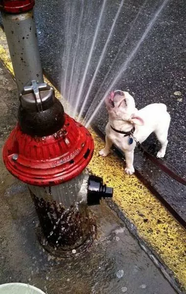 Picdump 147 - #23 