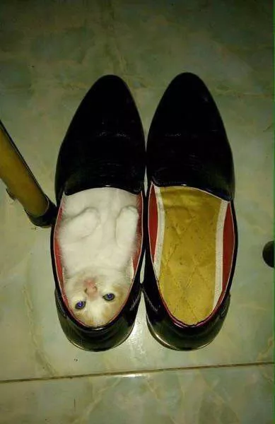 Picdump 147 - #62 