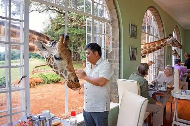 Unusual and impressive hotels - #26 