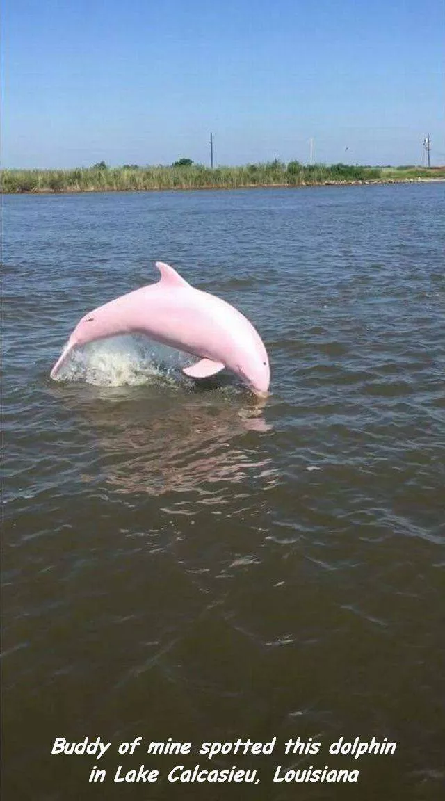 Picdump 148 - #11 