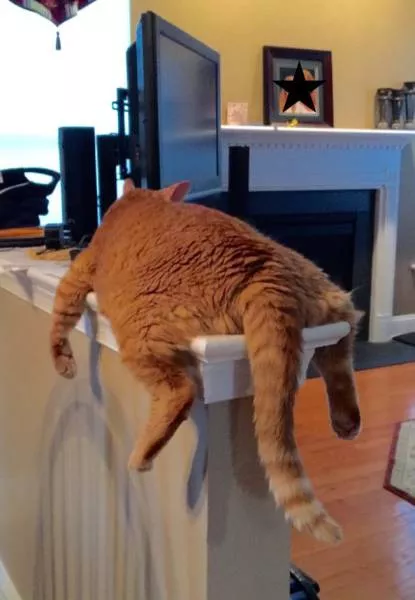 Picdump 148 - #36 