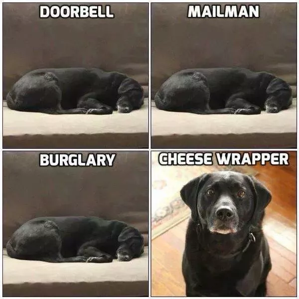 Picdump 149 - #21 