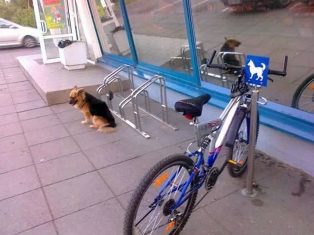 Picdump 150 - #13 
