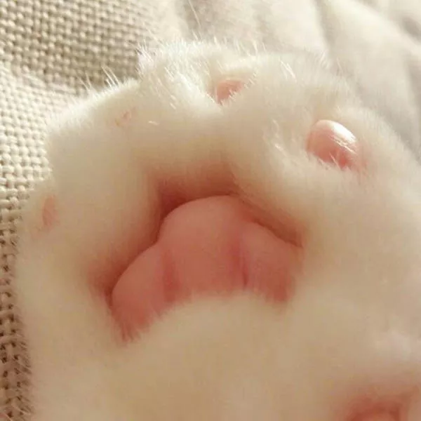 Picdump 150 - #20 