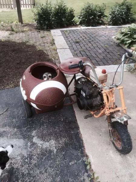 Picdump 150 - #43 