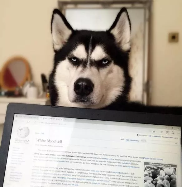 Picdump 151 - #18 