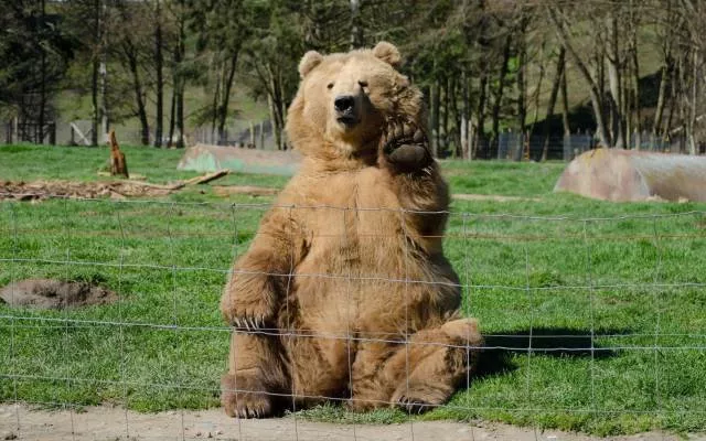 Picdump 151 - #26 