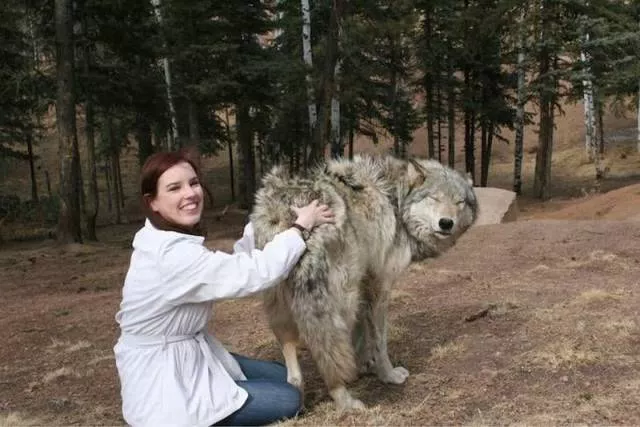 Picdump 151 - #43 