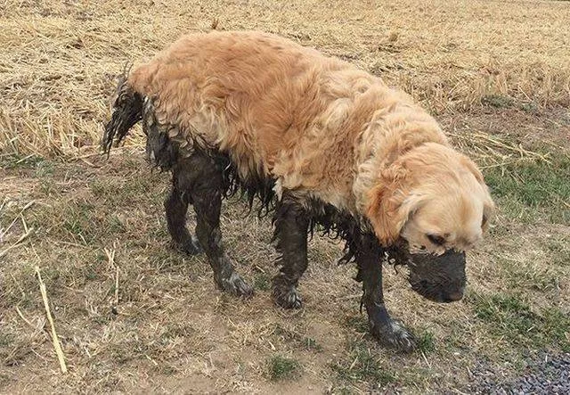 Picdump 32 - #33 